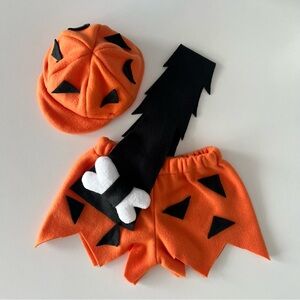 Preowned LIKE NEW The Flintstones Bam Bam Costume Size 18-24 months